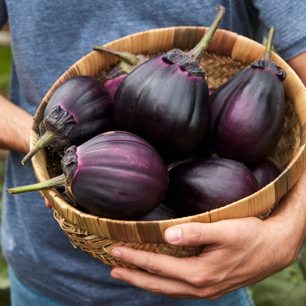 Aubergine Meatball